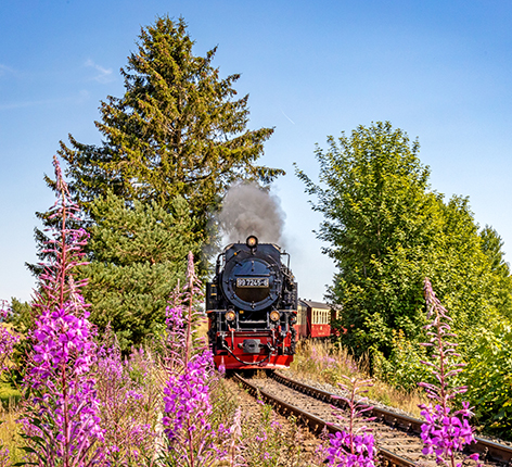 Sommerfahrplan ab 22.07.2023