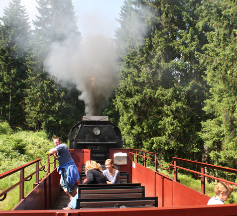 Dampflok mit Schienencabrio im Wald