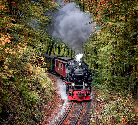 Traditionszug