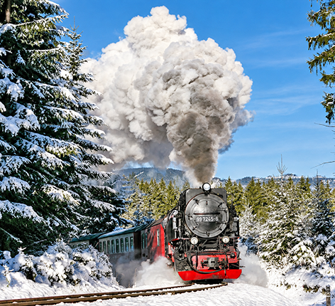 Novemberfahrplan 02.11. - 26.11.2026