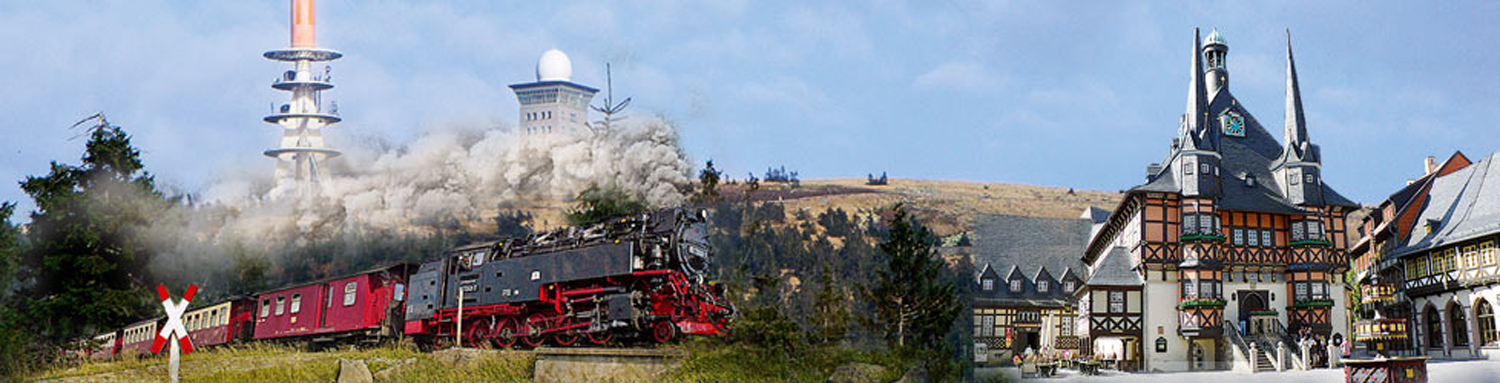 Dampfzug mit Brocken und Wernigerode