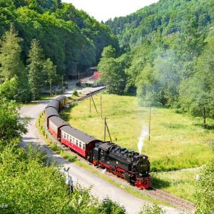 Wieder Dampf im Südharz: Von Nordhausen geht es ab 1. Juli wieder täglich mit dem Dampfzug hinauf zum Brocken. (Foto: HSB/Dirk Bahnsen)
