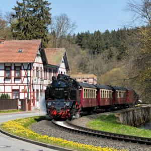 Ab dem 9. April gilt bei den Harzer Schmalspurbahnen der diesjährige Sommerfahrplan. Er ist bis zum 6. November gültig und umfasst wieder ein umfangreiches Fahrtenangebot auf dem gesamten Streckennetz (Foto: HSB/ Olaf Haensch)