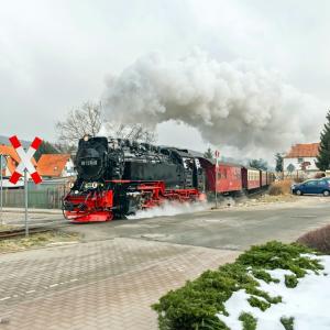Ein Dampfzug passiert den Bahnübergang in der Frankenfeldstraße  (Foto: (HSB/ Dirk Bahnsen)
